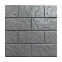 Matriță țiglei de fațadă art. 20 ABS Dimensiuni: 500х500х18 mm