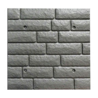 Matriță țiglei de fațadă art. 2 ABS Dimensiuni: 500х500х18 mm